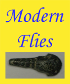 MODERN FLIES FN